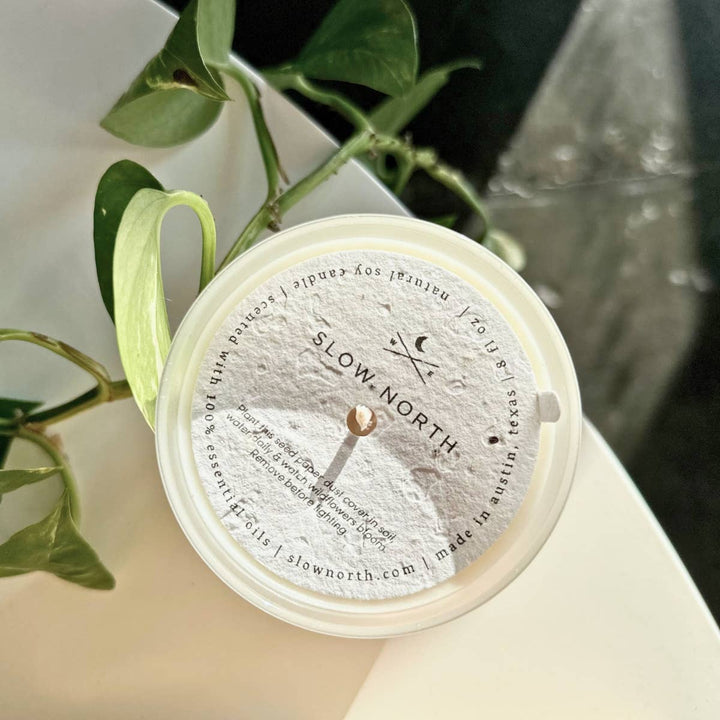 Eucalyptus + Lavender Frosted Soy Candle - Joy, Delivered